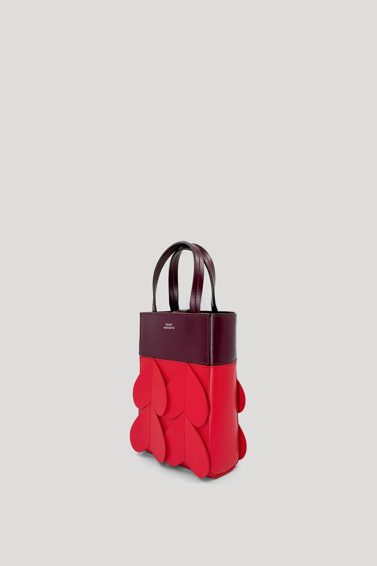 AXIL Mini Bag in Wine/Scarlet