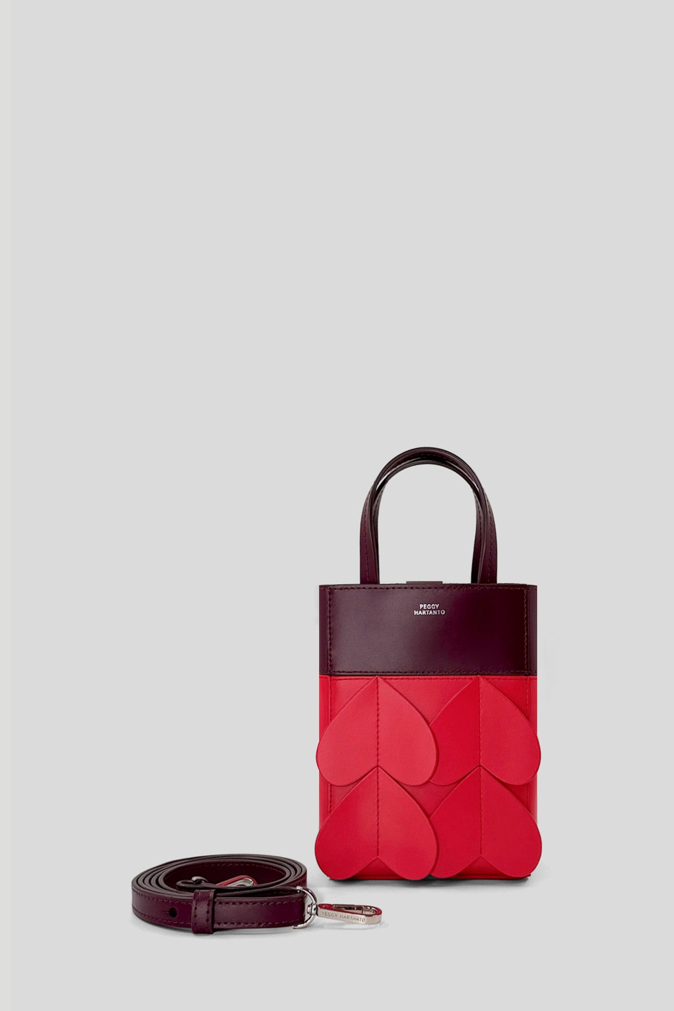 AXIL Mini Bag in Wine/Scarlet