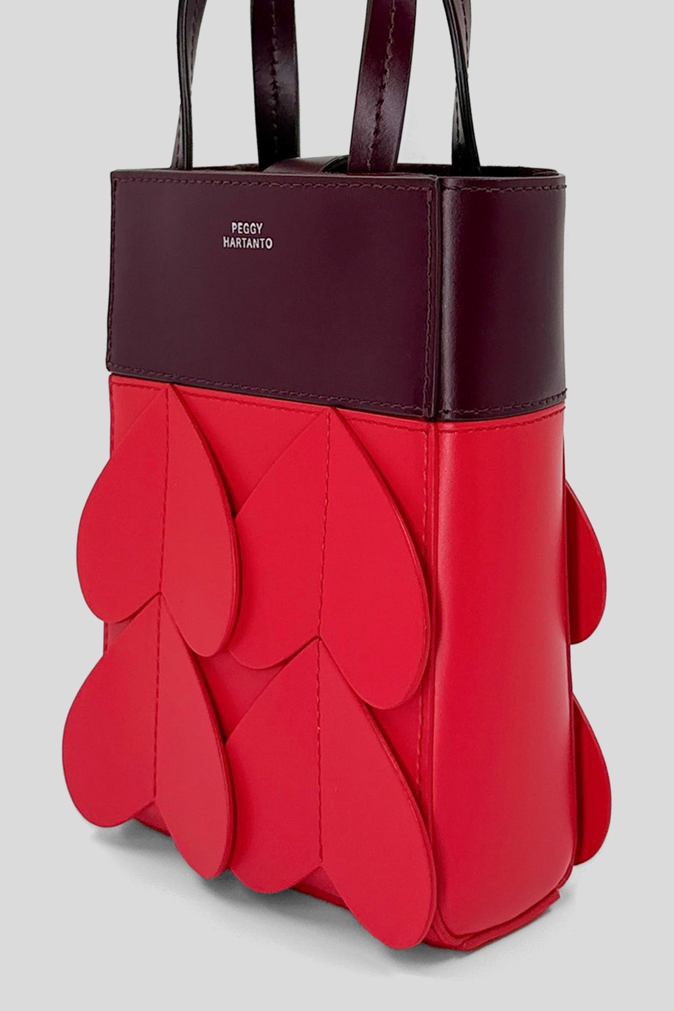 AXIL Mini Bag in Wine/Scarlet