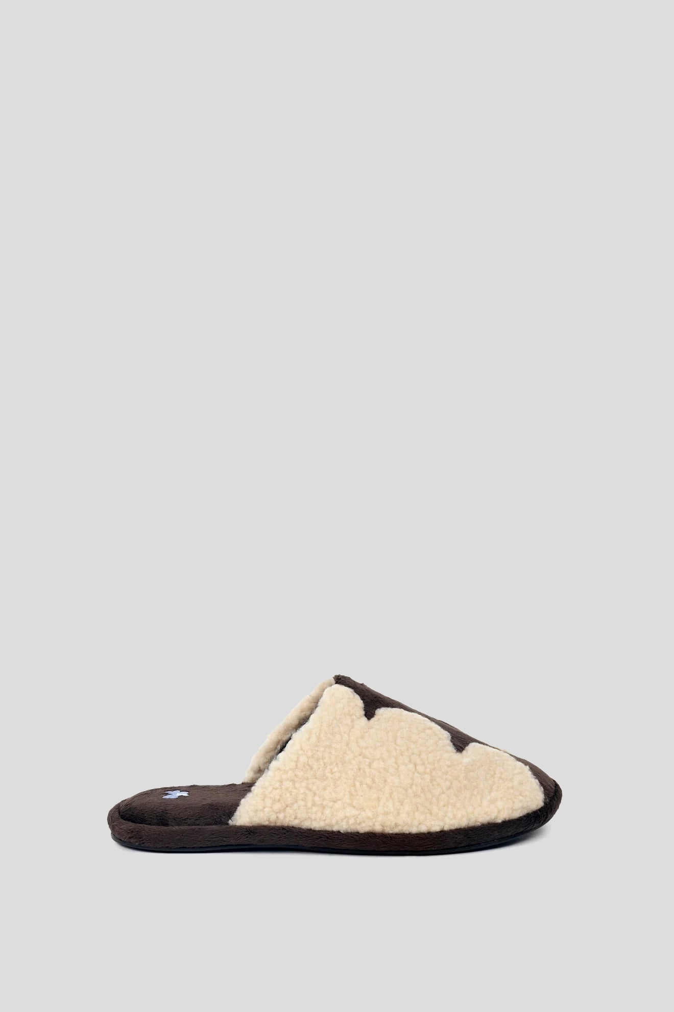 BENTHIC House Slippers in Brown