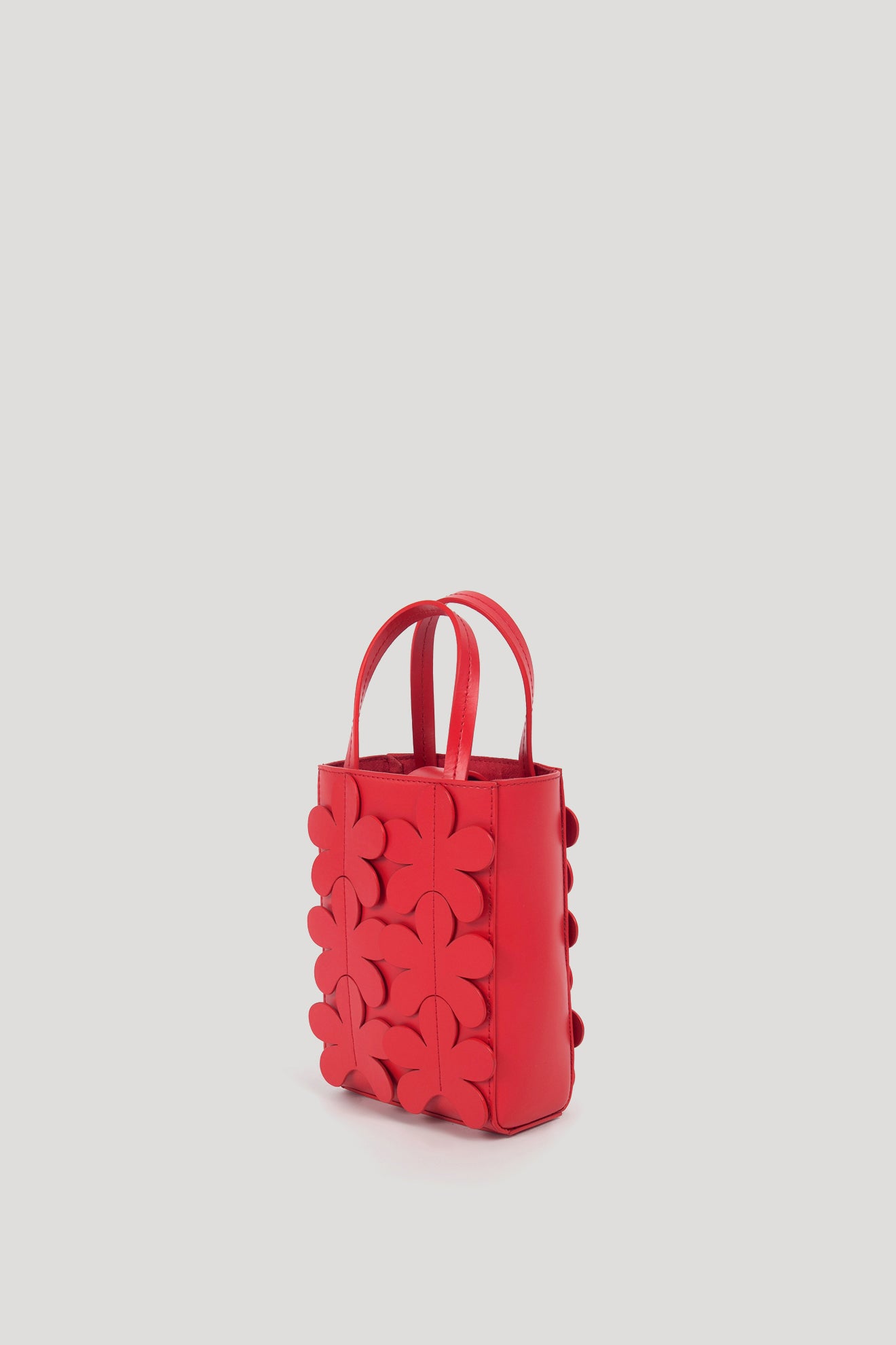 SAFF Mini Bag in Scarlet