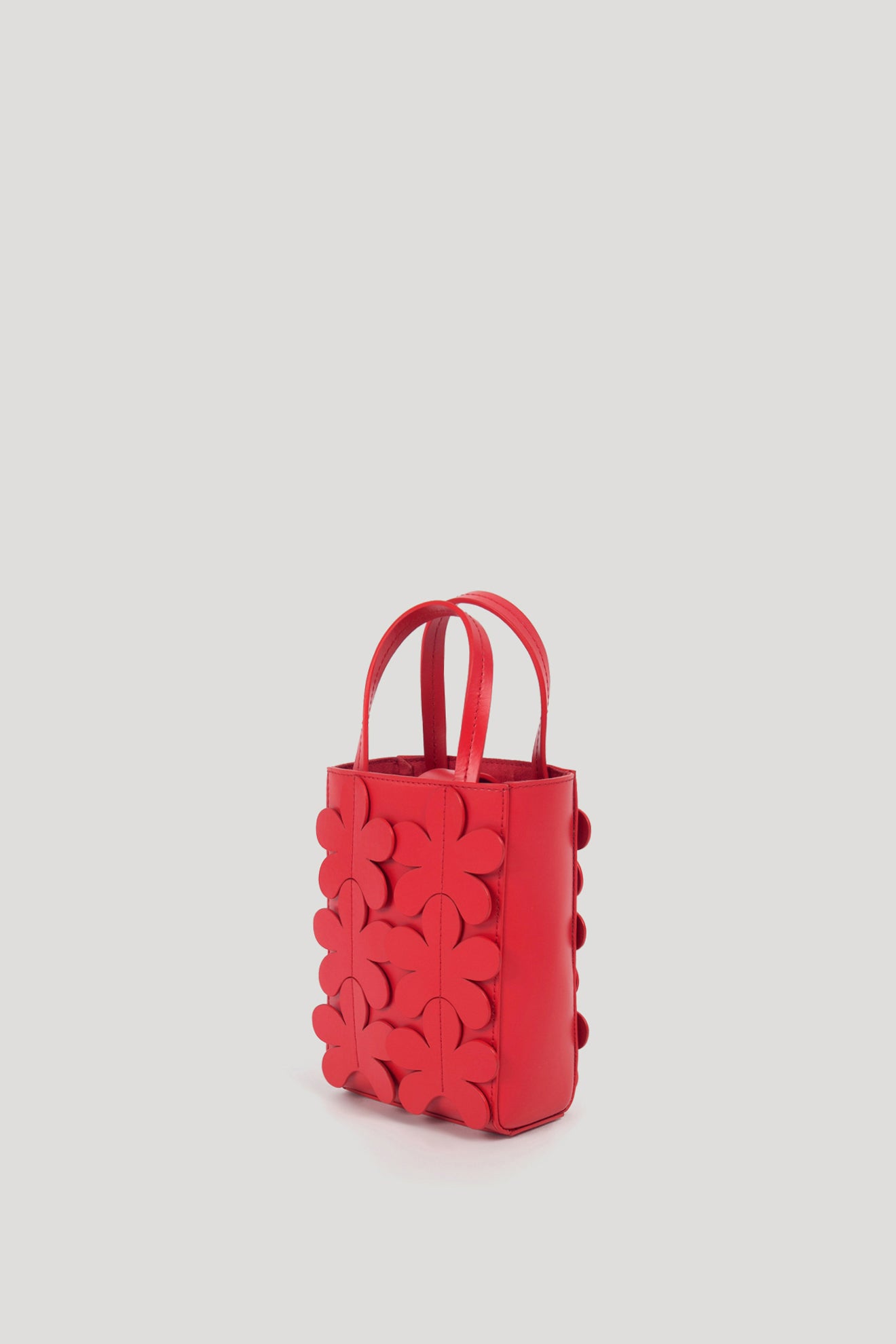 SAFF Mini Bag in Scarlet