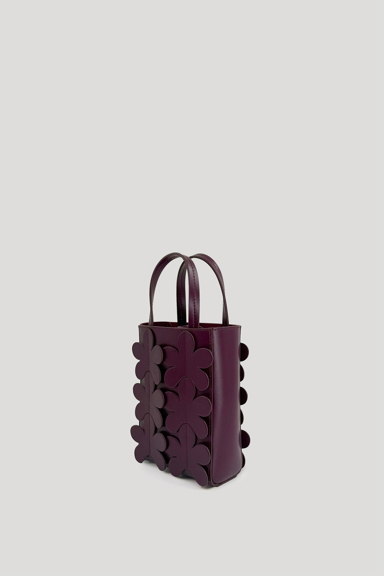 SAFF Mini Bag in Wine